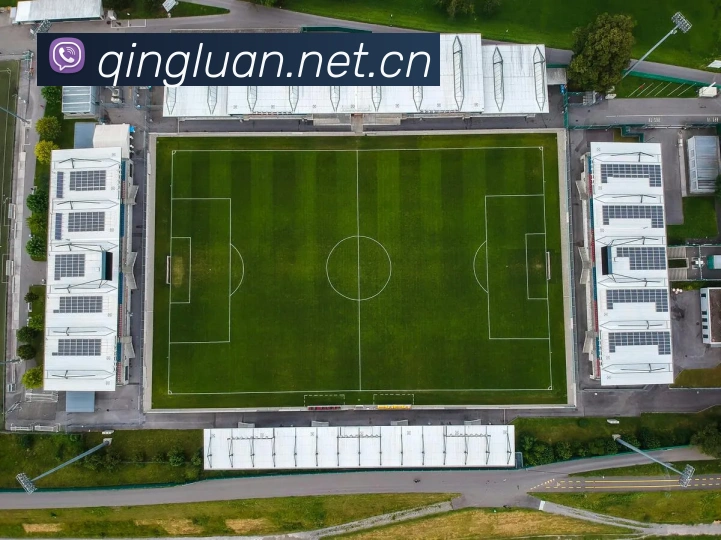 开云官网APP 封面图